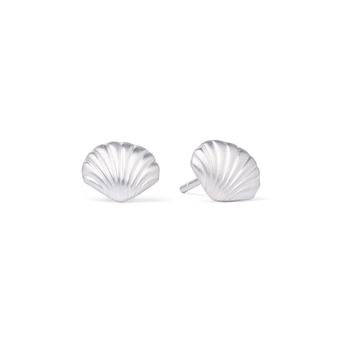 Ohrstecker Muschel von BERND WOLF aus 925er Sterlingsilber, Designlinie Maritim.