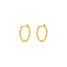 Creolen Florizza von BERND WOLF aus 24-Karat-goldplattiertem Sterlingsilber, Designlinie Twisted.